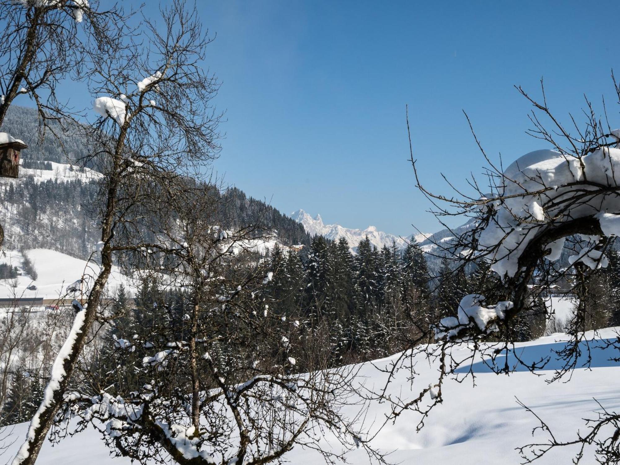 Sprawling Mansion Near Ski Area In Salzburg エーベン・イム・ポンガウ エクステリア 写真